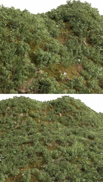 开花的草地 花园草丛景观3D模型（FBX,MAX）