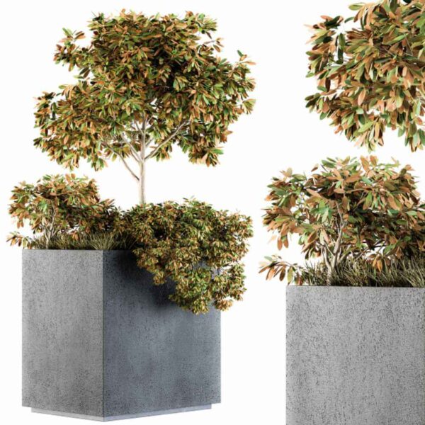 户外植物花坛3D模型（OBJ,MAX）