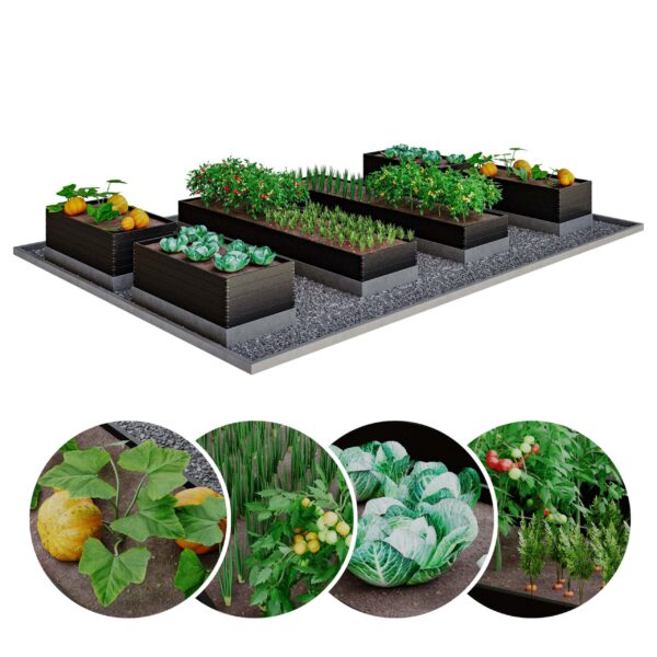 包含南瓜 卷心菜 西红柿 胡萝卜的菜园3D模型（OBJ,MAX）