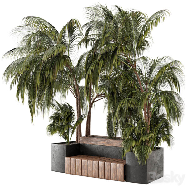 带长凳的棕榈植物花坛3D模型（OBJ,MAX）