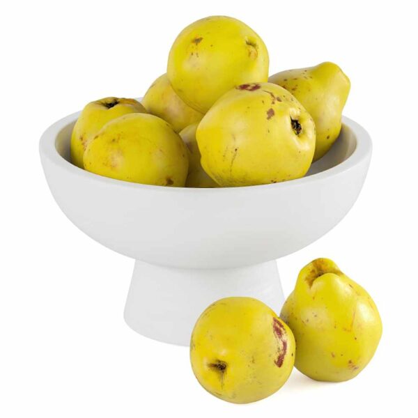 果盘中的榅桲3D模型（OBJ,FBX,MAX）