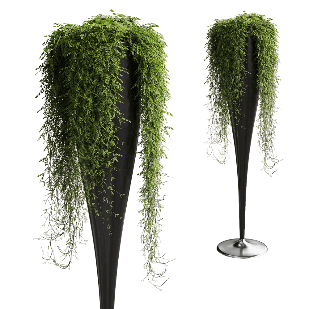 Serralunga HIC圆锥形花盆中的垂坠植物 绿植盆栽3D模型（OBJ,FBX,MAX）