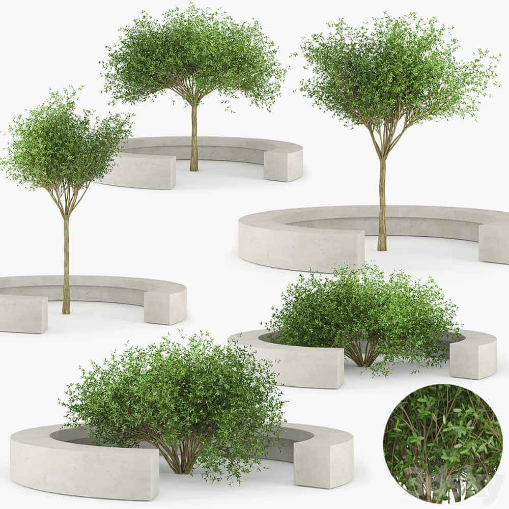 VORA ARQUITECTURA COMB树凳 带长椅的绿树花坛3D模型（OBJ,MAX）