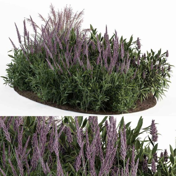 薰衣草花丛3D模型（OBJ,MAX）