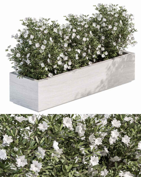 户外植物花坛 花丛3D模型（OBJ,MAX）