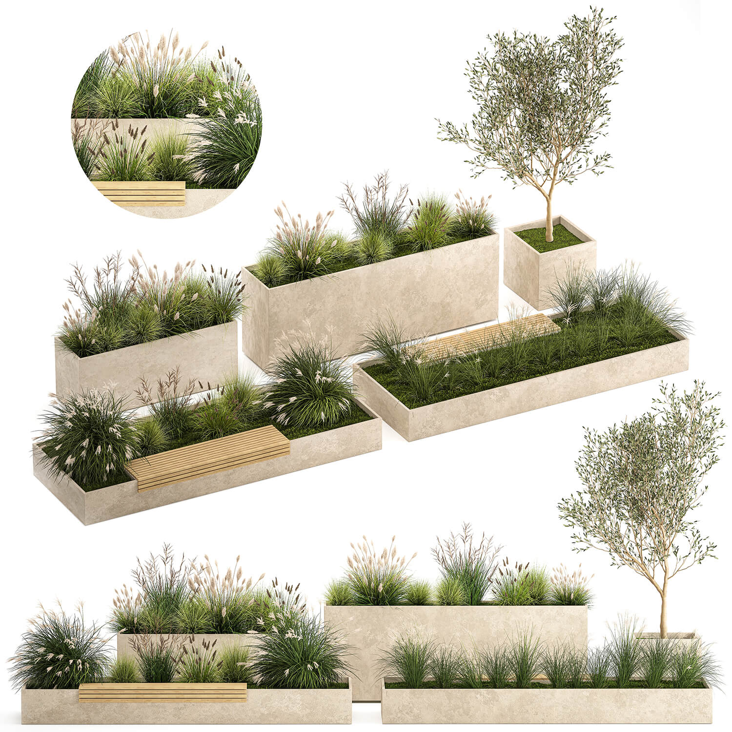 户外观赏草绿植花坛3D模型（FBX,MAX）
