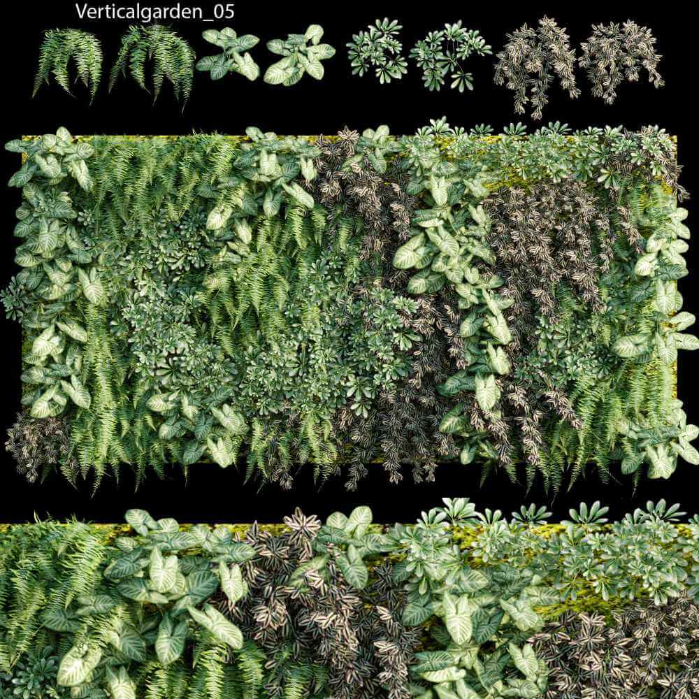 包含竹芋和蕨类植物绿植墙3D模型（OBJ,MAX）