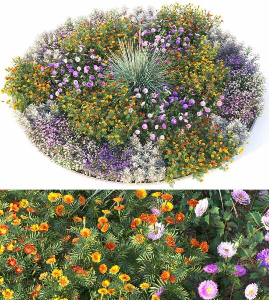 花园花丛3D模型（OBJ,MAX）