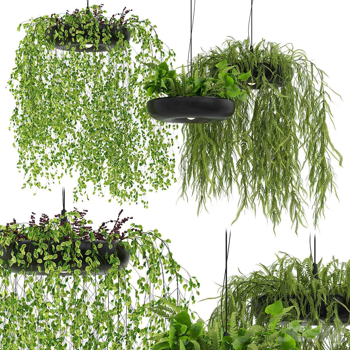 Indrid带绿植装饰的吊灯3D模型（OBJ,FBX,MAX）