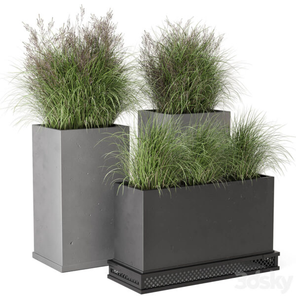 观赏草绿植花坛3D模型（FBX,MAX）