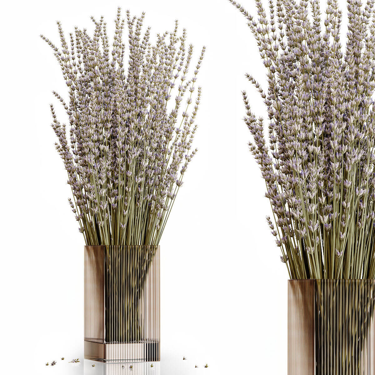 玻璃瓶中的薰衣草花束3D模型（FBX,MAX）