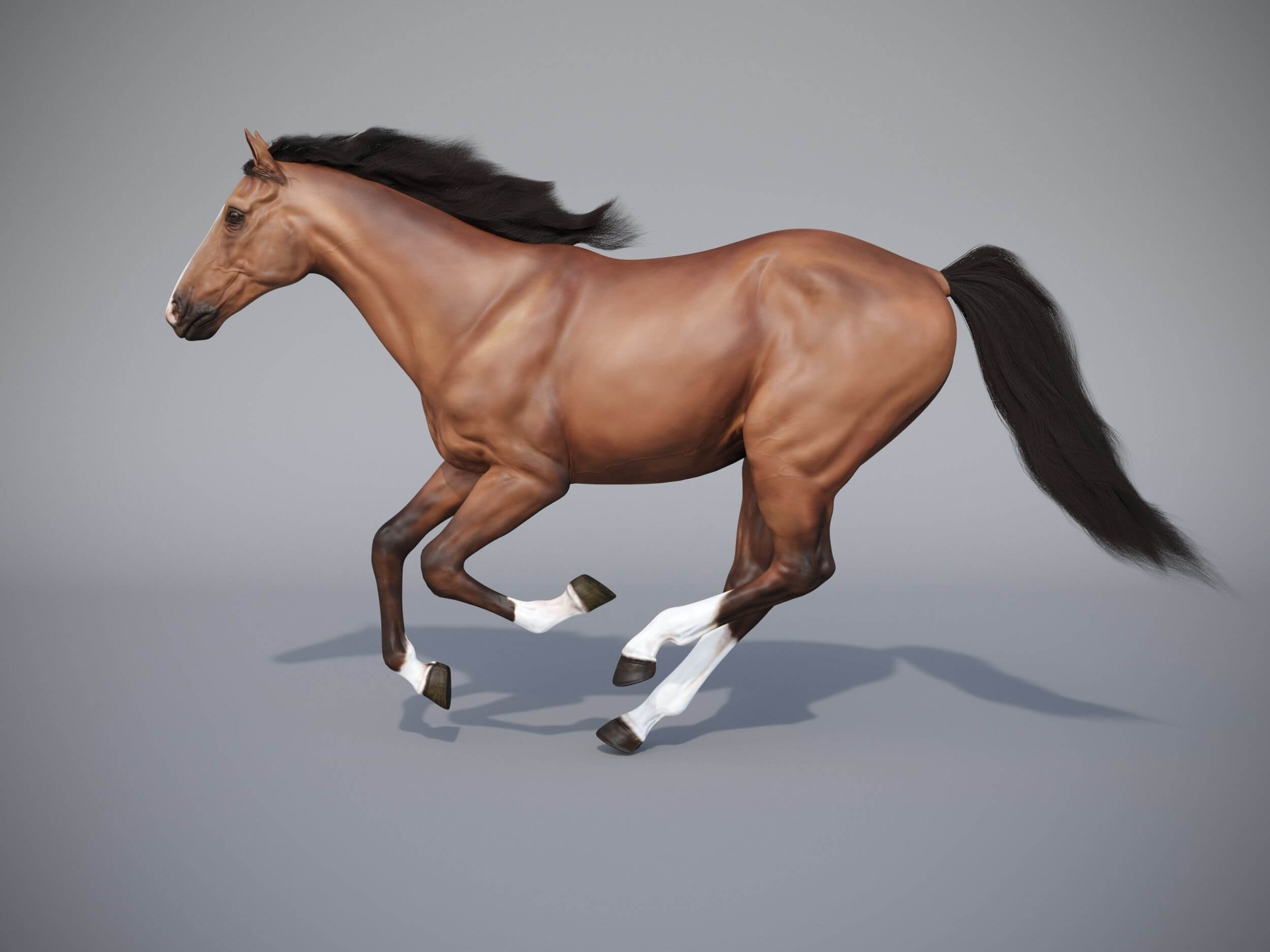 奔跑的马low poly 3D模型（OBJ,MAX）