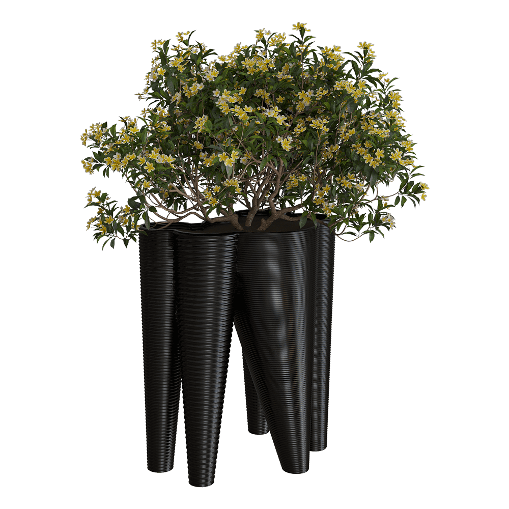 Serralunga The Vases塑料装饰花盆中的植物3D模型（OBJ,FBX,MAX）