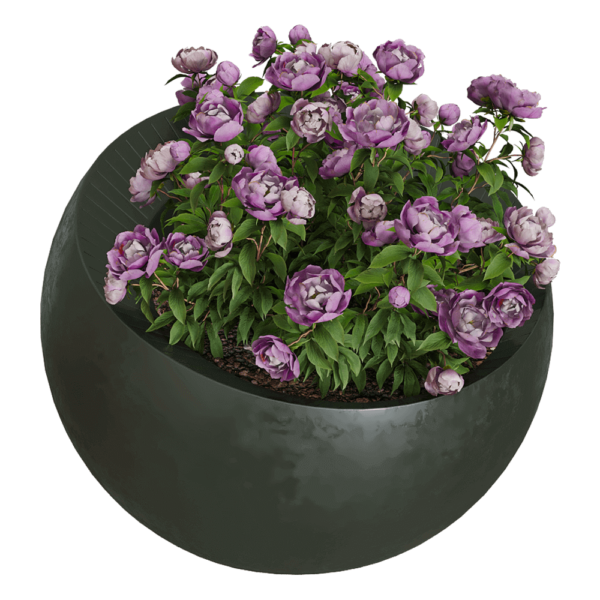 Serralunga Uovo di Colombo圆形花坛中的植物花丛3D模型（OBJ,FBX,MAX）