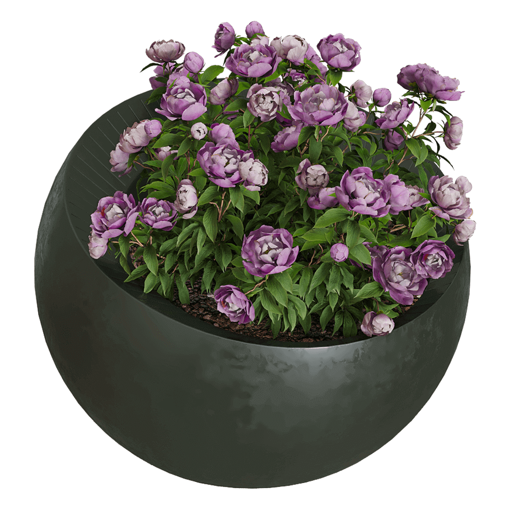 Serralunga Uovo di Colombo圆形花坛中的植物花丛3D模型（OBJ,FBX,MAX）