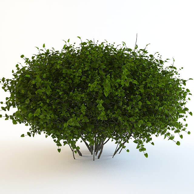 植物灌木丛3D模型（OBJ,MAX）