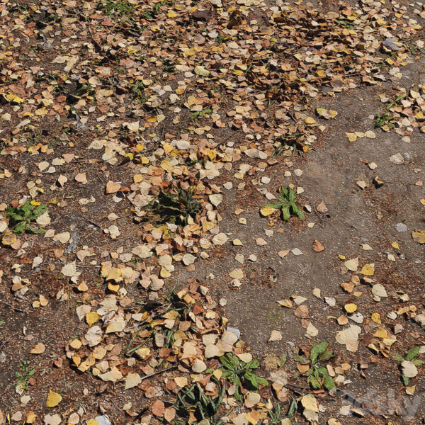 秋天洒满落叶的土地3D模型（OBJ,FBX,MAX）