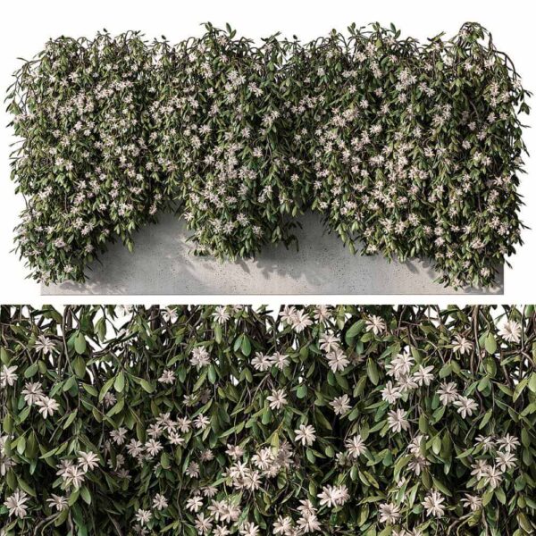 石墙上开满花朵的爬藤植物3D模型（OBJ,MAX）