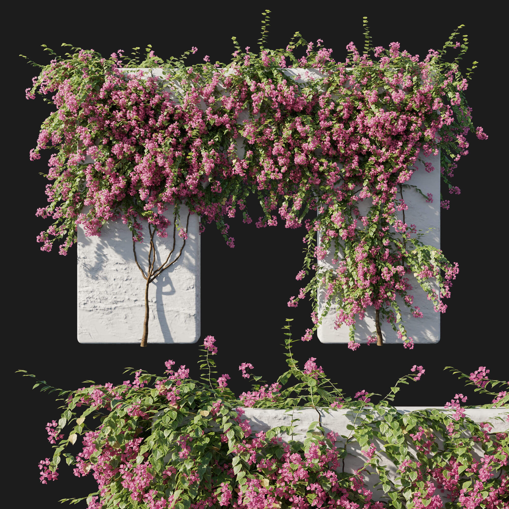 攀爬在石柱上的三角梅花丛 九重葛植物3D模型（OBJ,MAX）