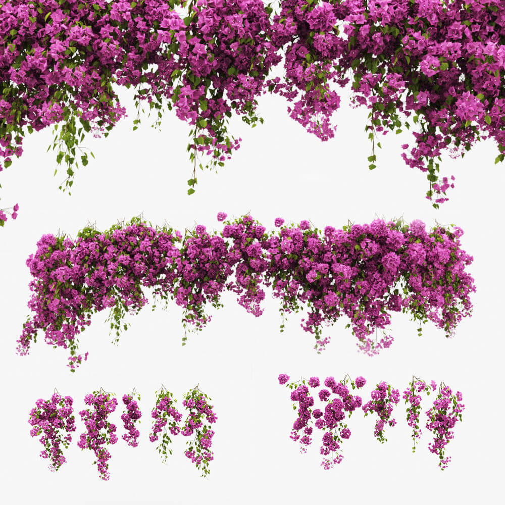 攀爬三角梅花丛 九重葛植物3D模型（OBJ,FBX,MAX）