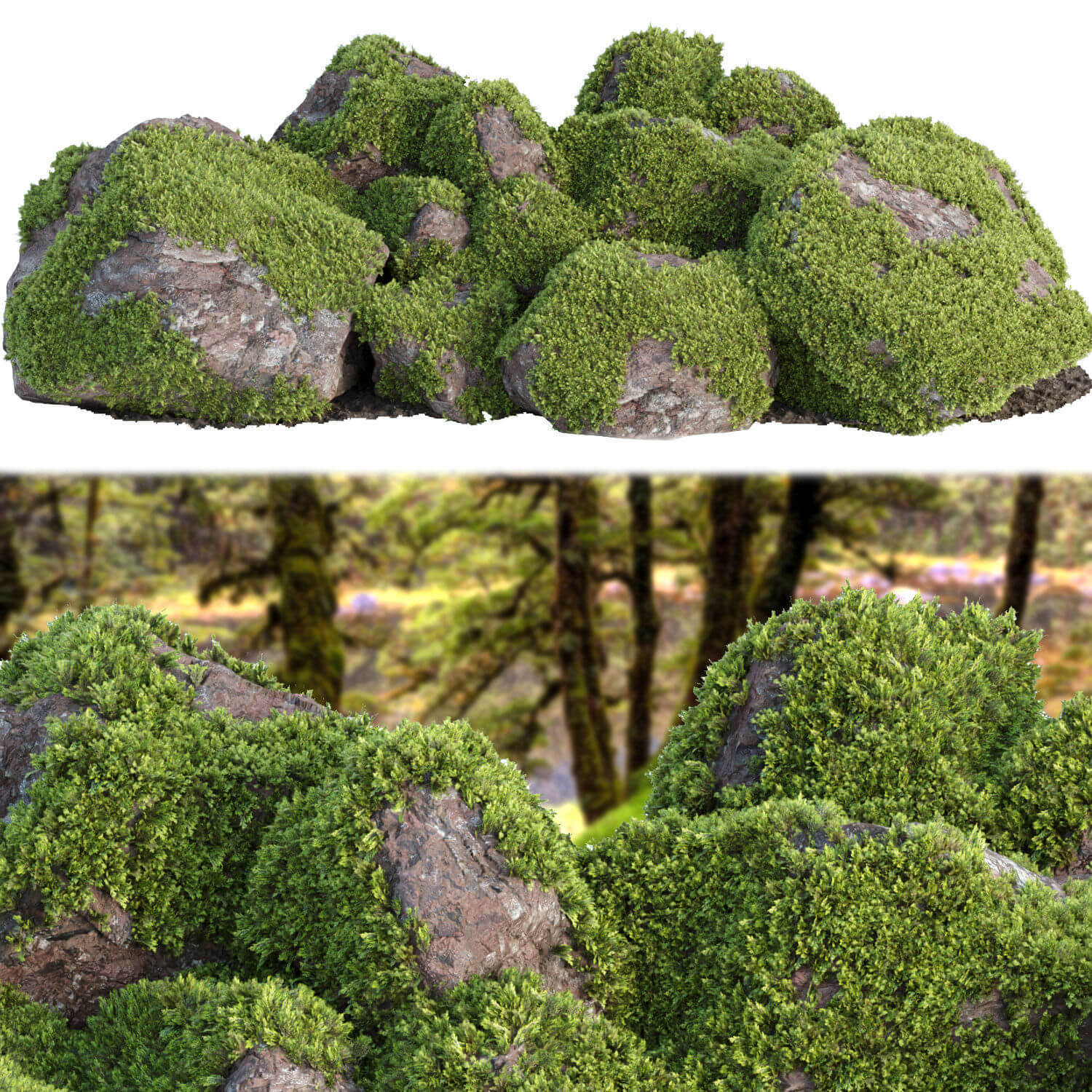 长满苔藓植物的岩石 花园景观3D模型（FBX,MAX）