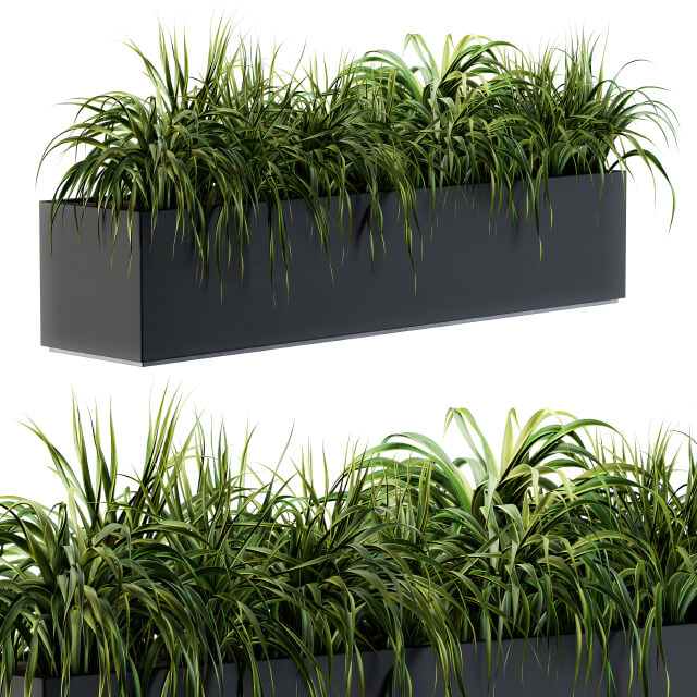 户外观赏草植物花坛3D模型（OBJ,FBX,MAX）