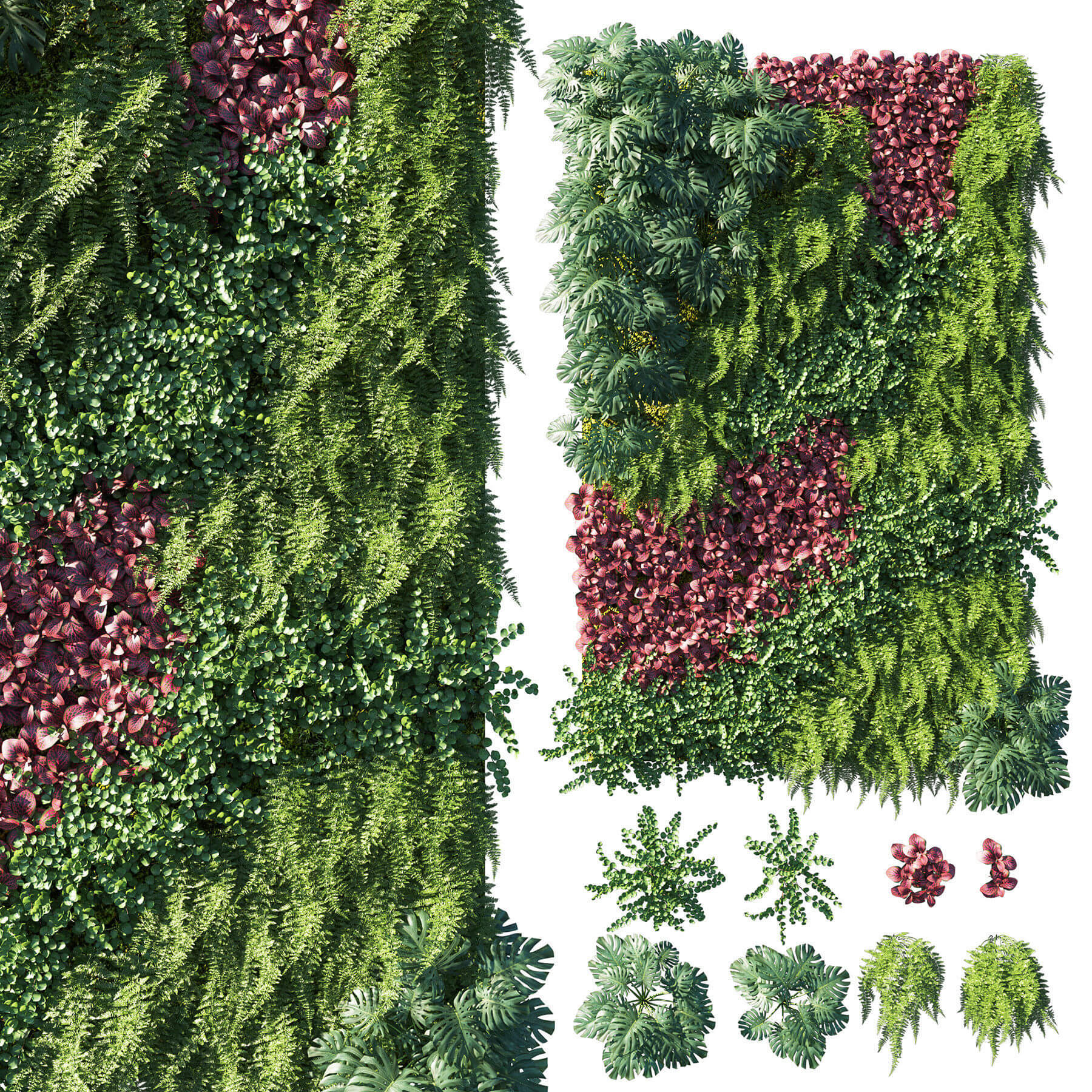 包含蕨类植物 竹芋的绿植墙3D模型（OBJ,MAX）