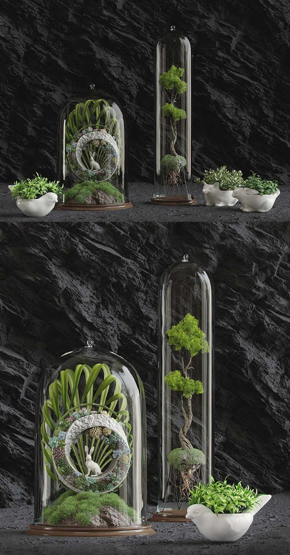 包含多肉植物 苔藓 杜松叶的植物盆景3D模型（OBJ,MAX）