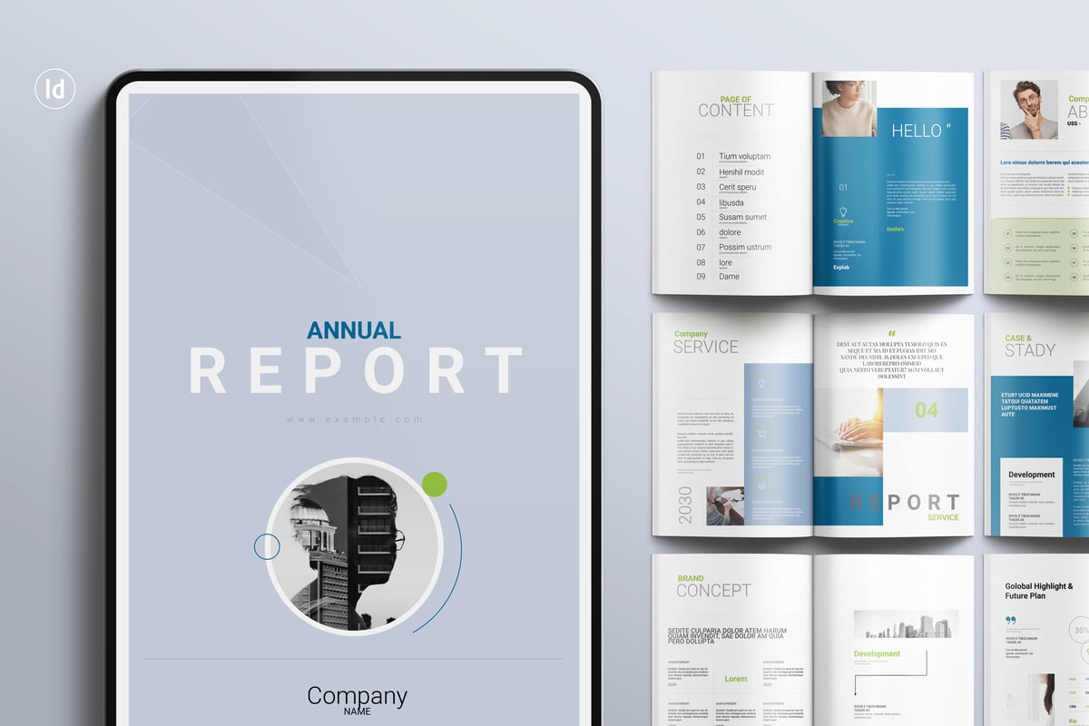 年度报告手册画册模板 (INDD)
