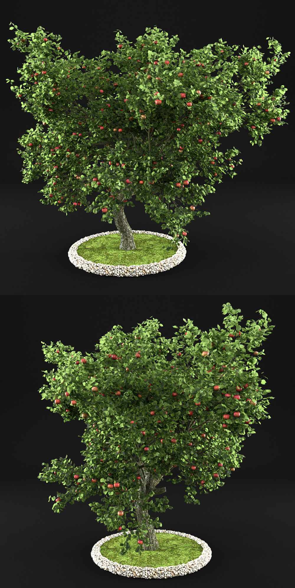 挂满果实的苹果树3D模型（OBJ,MAX）