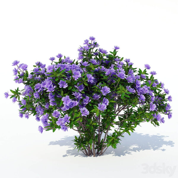 杜鹃花花丛 植物灌木3D模型（FBX,MAX）