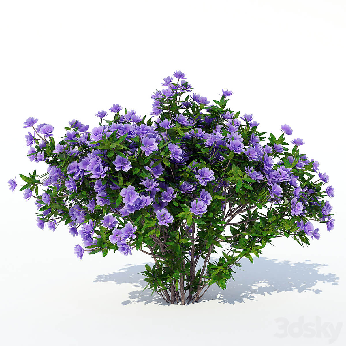 杜鹃花花丛 植物灌木3D模型（FBX,MAX）