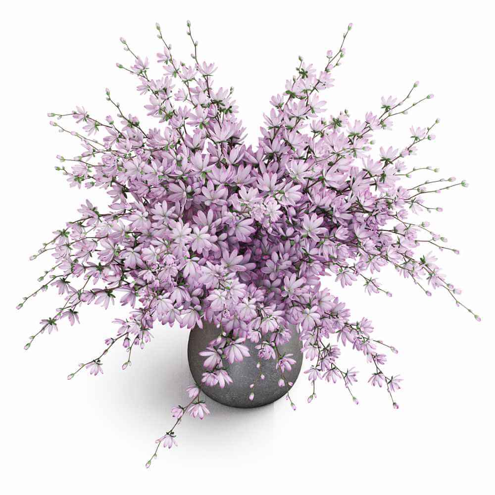 花束3D模型（FBX,MAX）