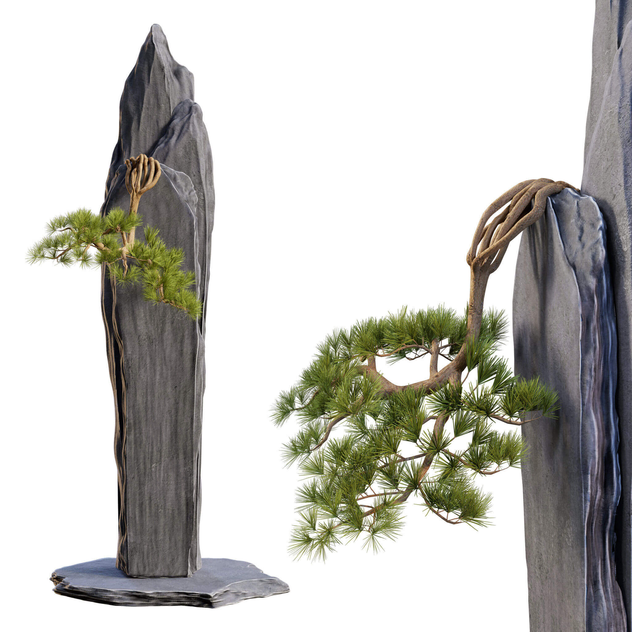 石板上的松树盆景3D模型（OBJ,FBX）