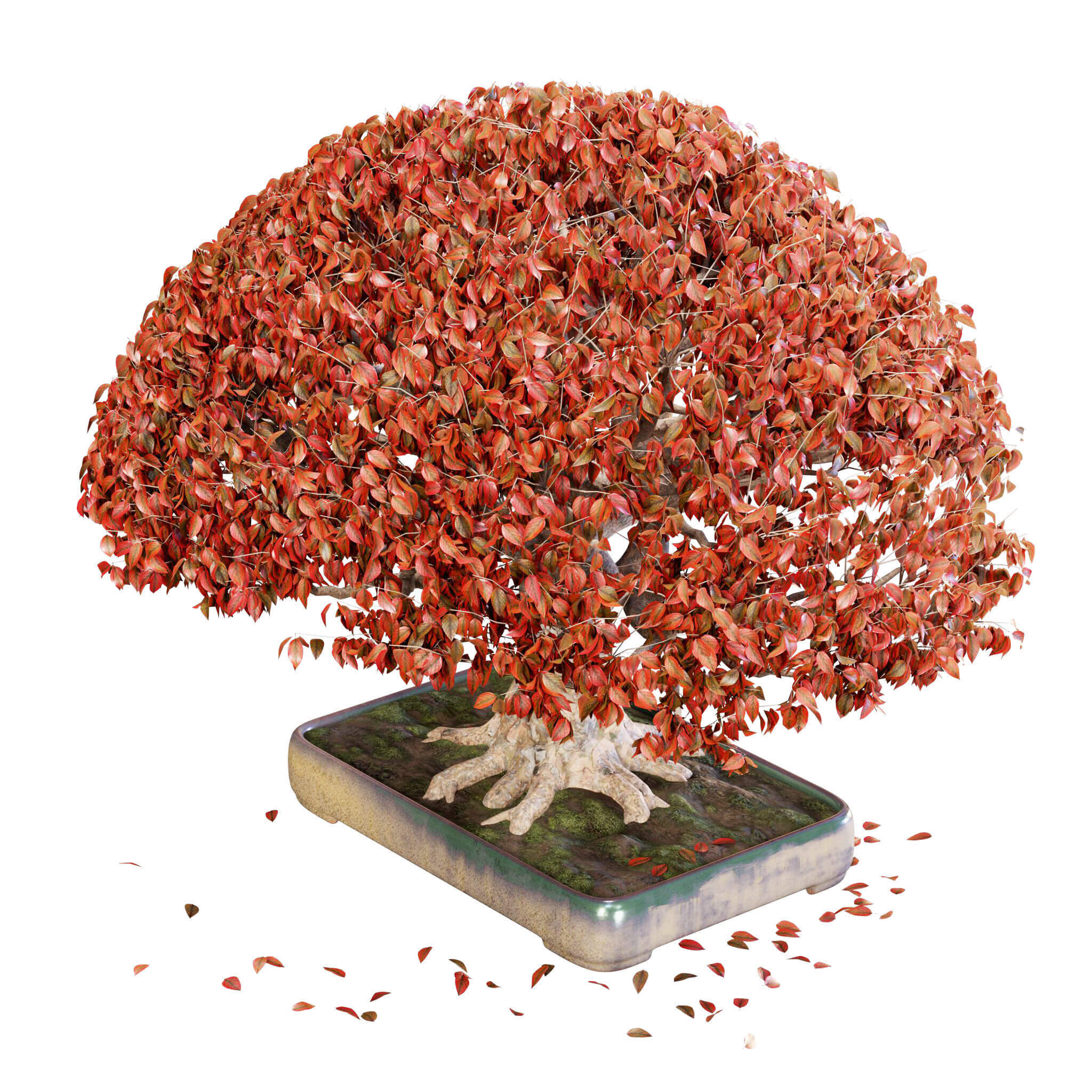 装饰性植物盆景3D模型（OBJ,FBX）