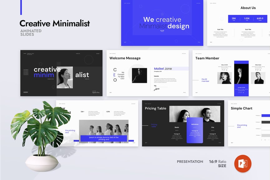 e57d9319-824e-4184-b628-c3101b64f951-1