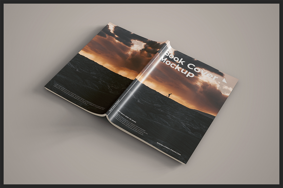 c186258d-d71e-49c9-911d-0c29d3a447ad