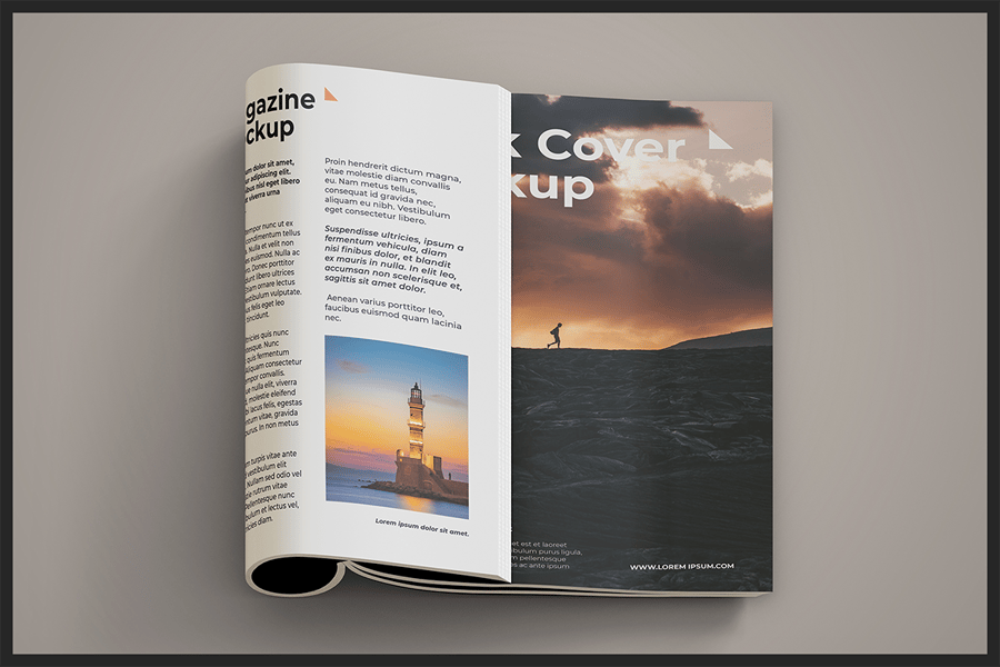 e72b4917-bcf3-491e-8b48-78da0c2a5568