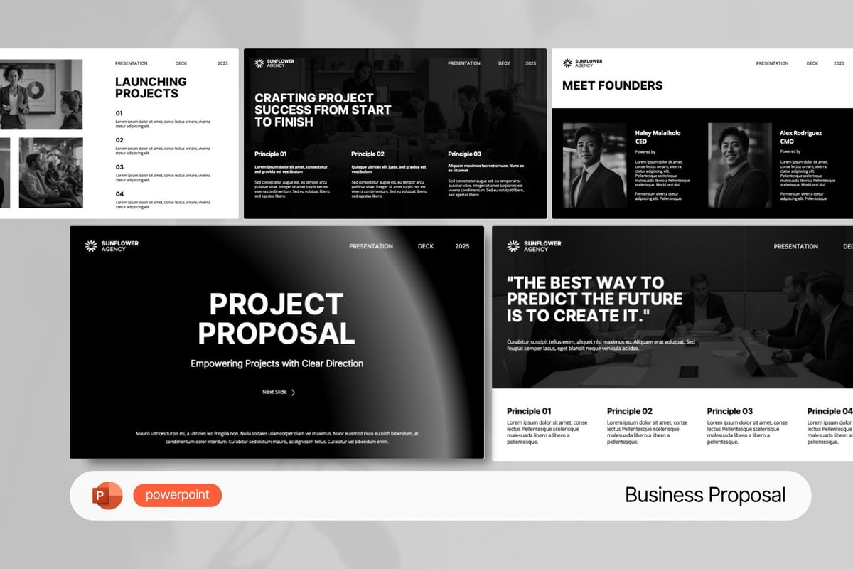 项目建议PPT模板 (PPTX)