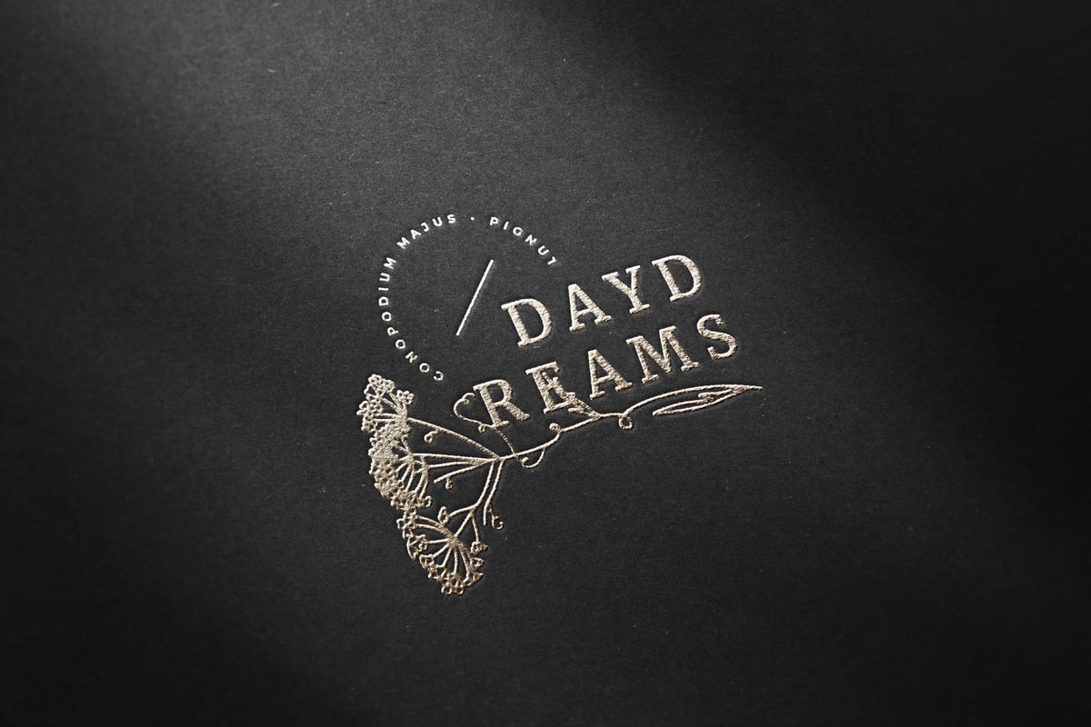 logo纸徽标模型样机 (PSD)