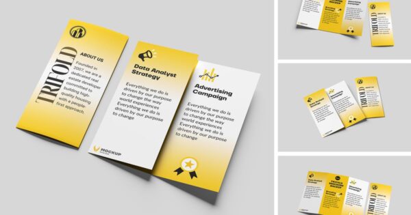 三折小册子模型