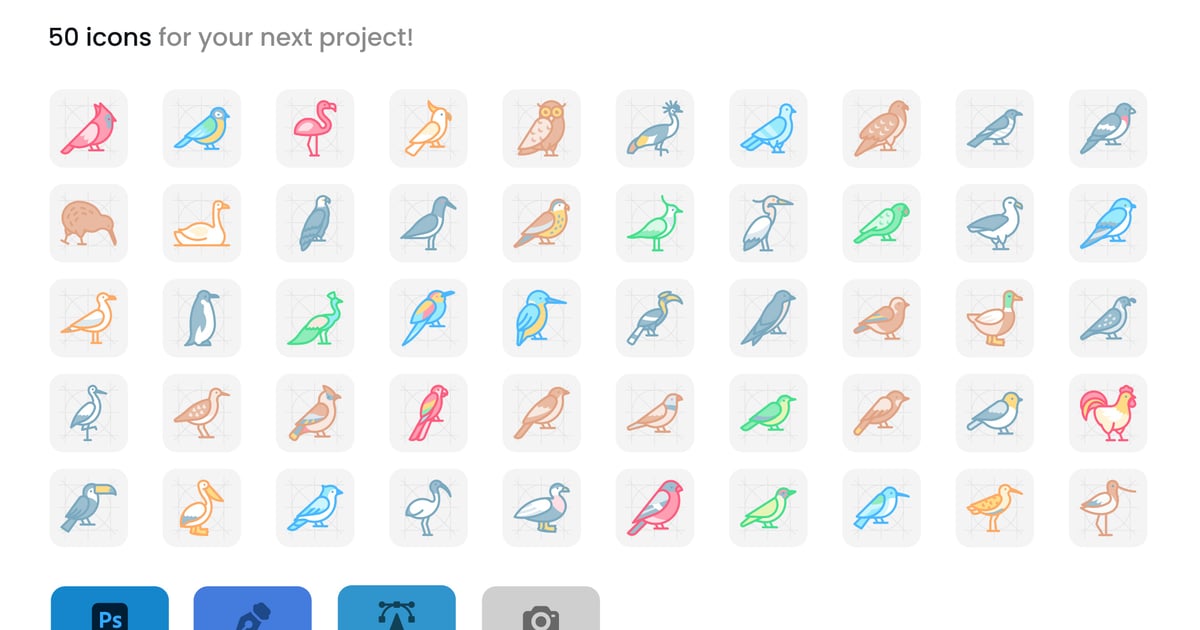 鸟类和野生动物图标