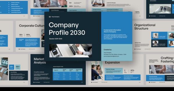 Virya – 营销机构公司简介 关键信息