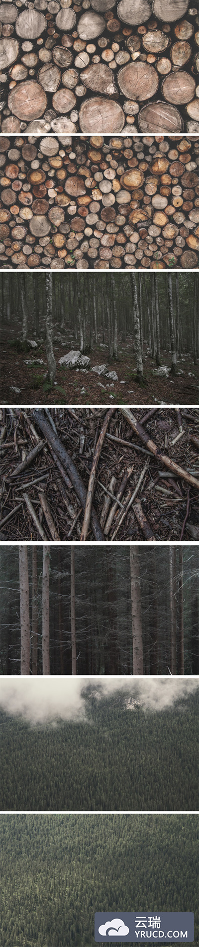 木材与森林相关的素材背景图片下载