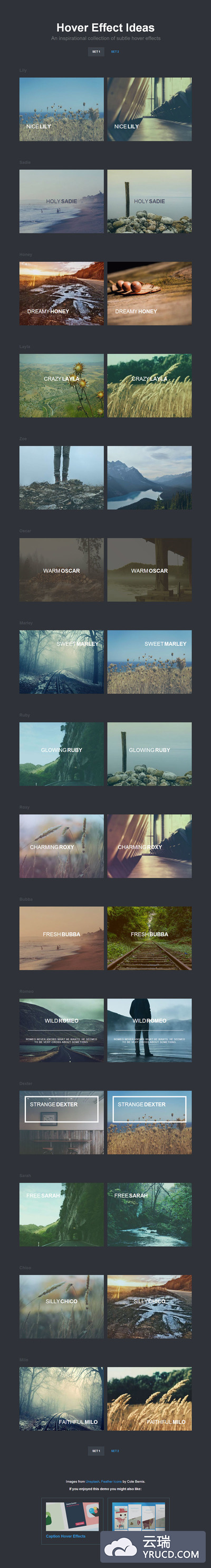 CSS3打造动画特效的悬停效果--模版下载