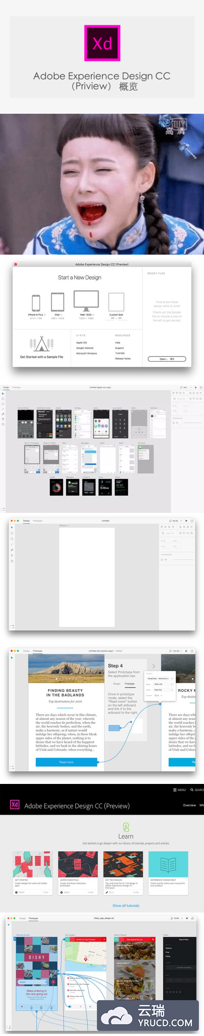 Adobe Experience Design CC 预览版 （Adobe Xd)相关介绍和下载