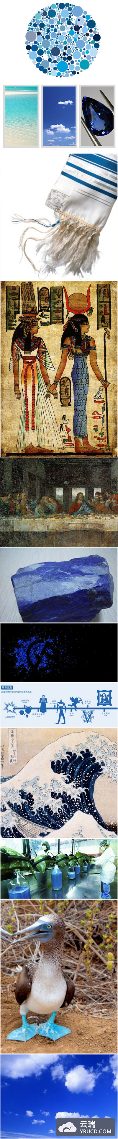 BLUE（蓝色）的视觉秘密语言