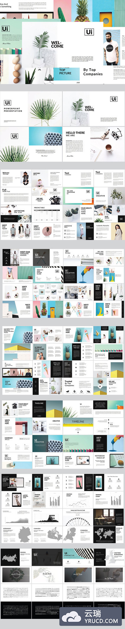 清新文艺范的植物类PPT模版下载[pptx]