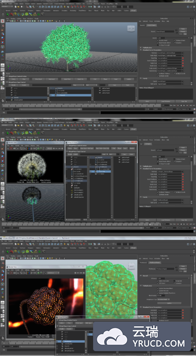 Xfrog 5.5 植物生长插件 (Maya 2017)