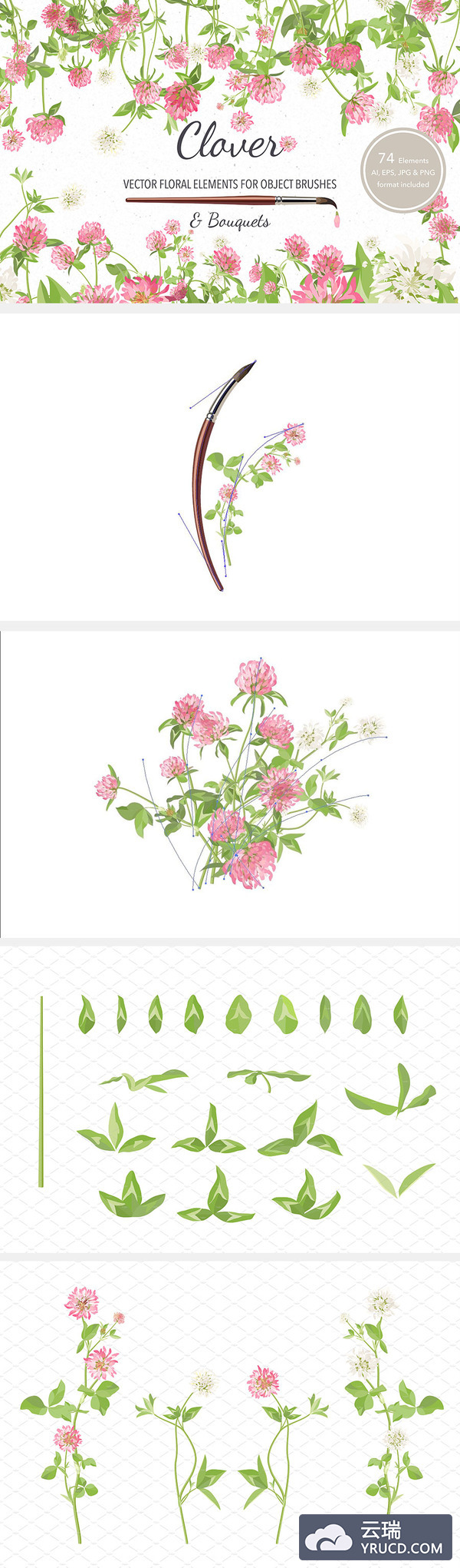 多种漂亮的花卉矢量画笔文件下载[AI]